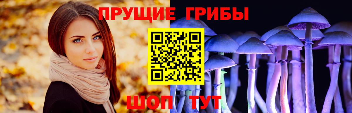 Галлюциногенные грибы ЛСД  Галлюциногенные грибы Psilocybine cubensis  Мегион  Вход с VPN 